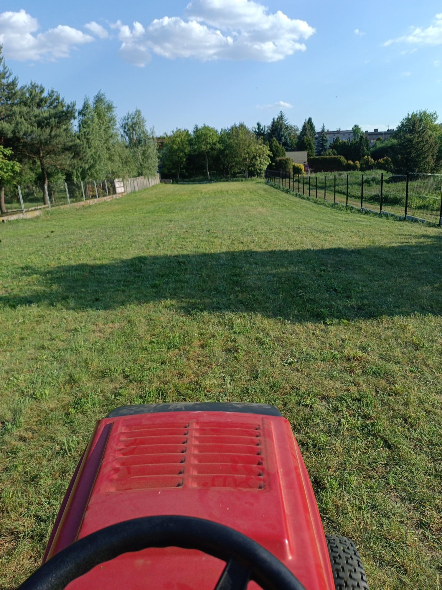 Koszenie trawy trawników wycinka drzew