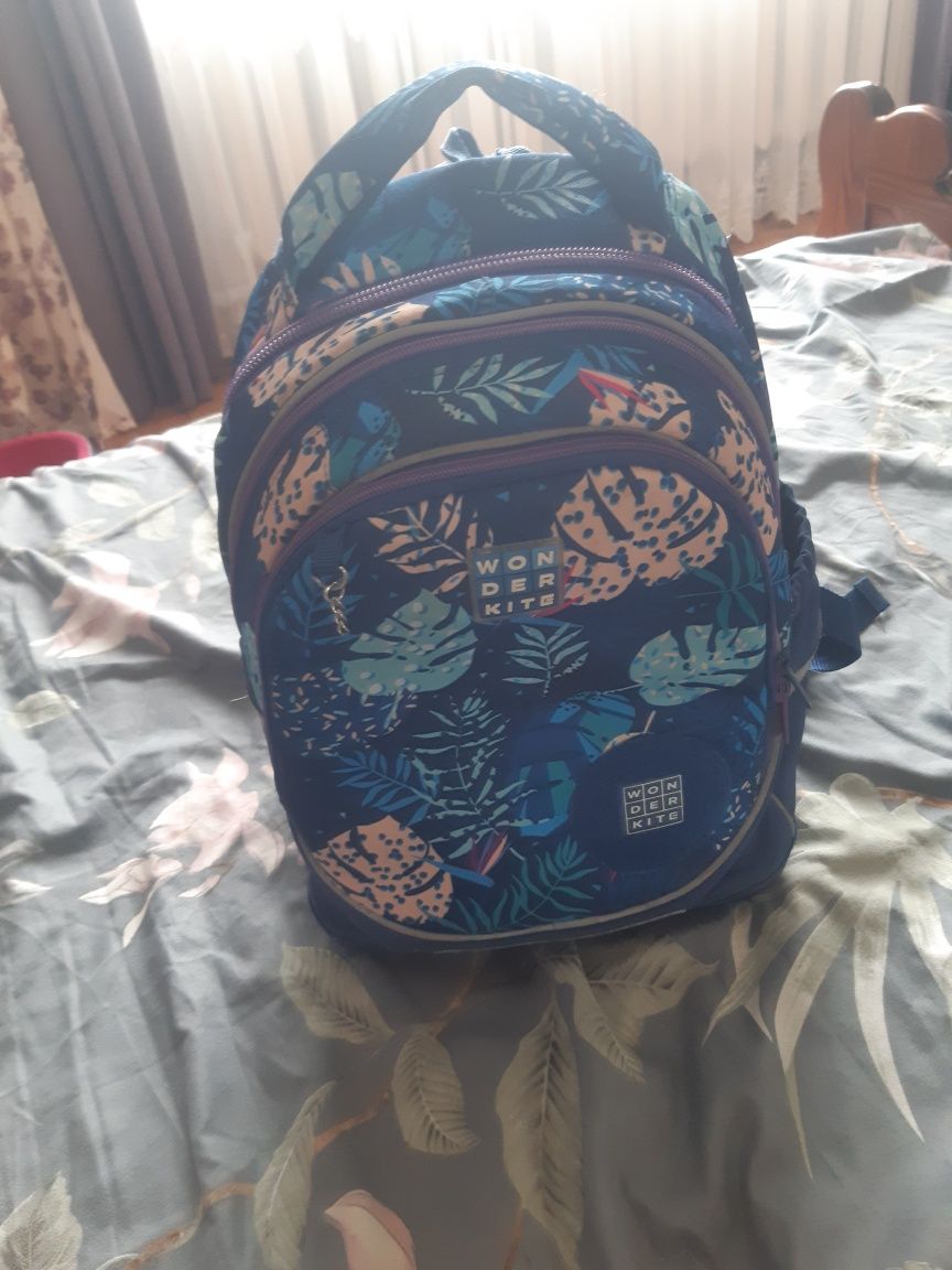 Дитячий шкільний рюкзак WON DER KITE