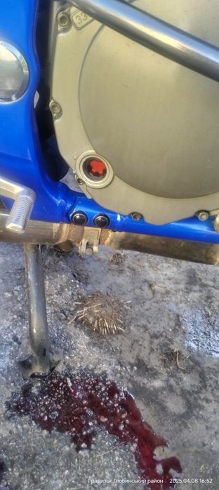 Сузуки бандит gsf600s