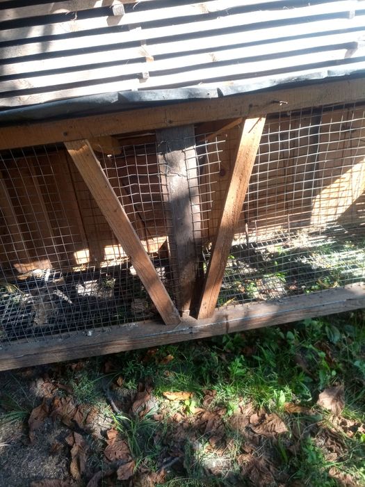Клітка для кролів, кролі кролятник