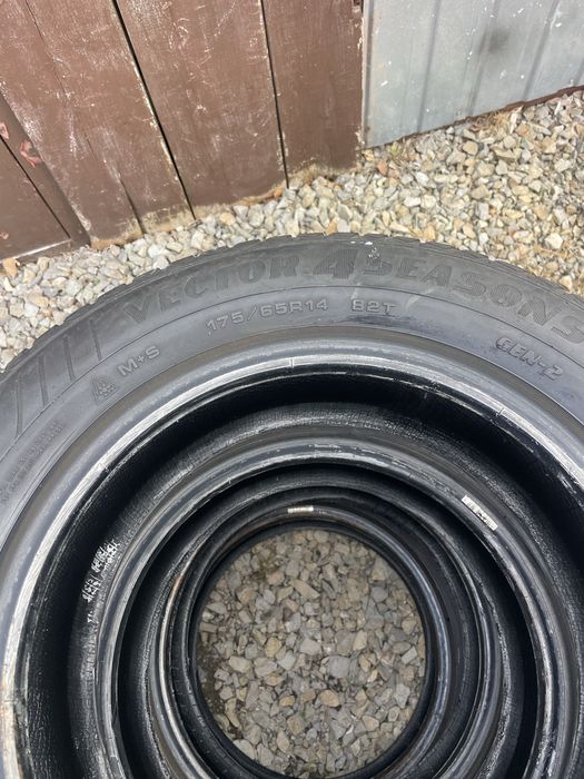 Good year vector4season