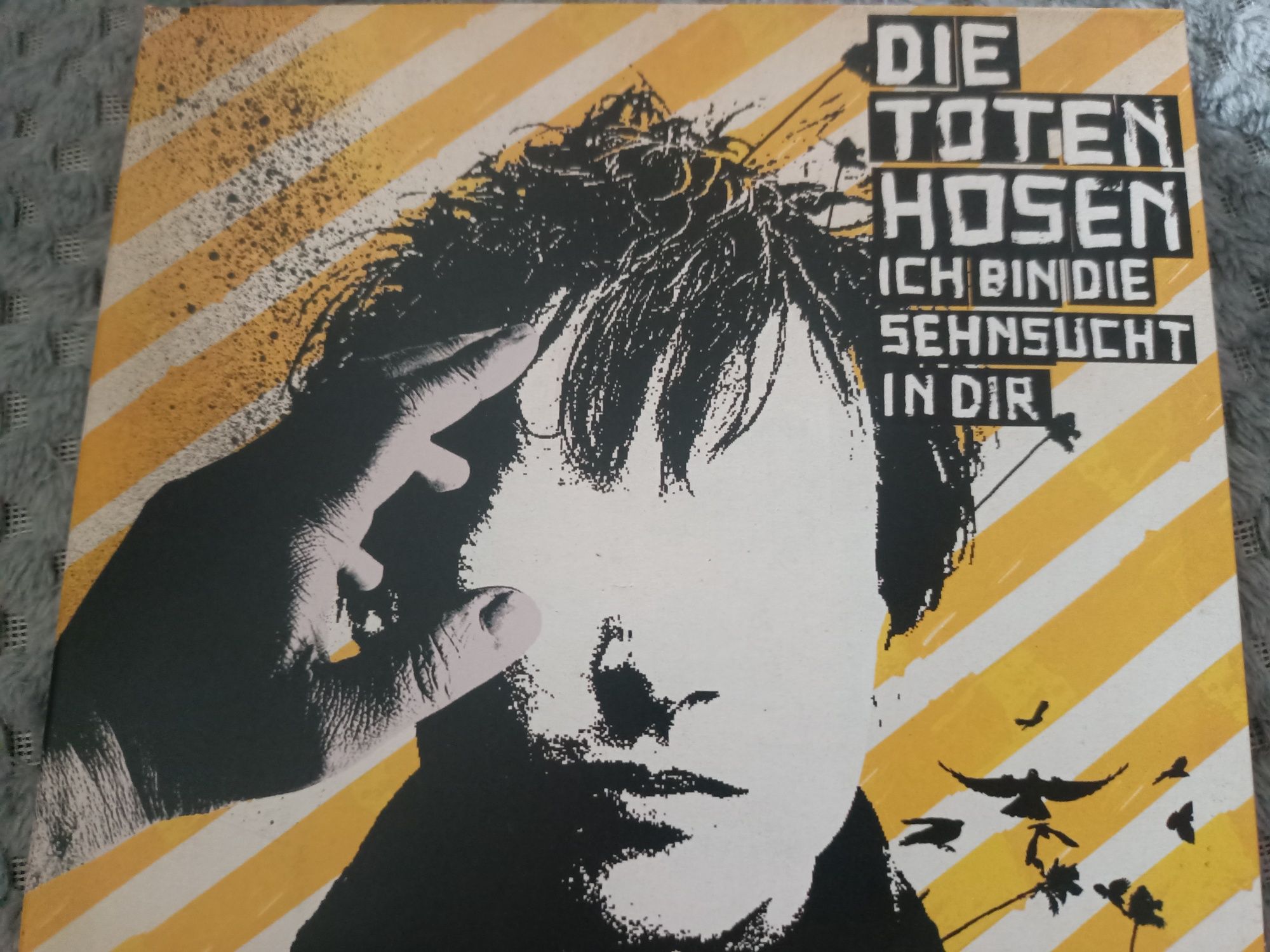 Die Toten Hosen - Ich Bin Die Sehnsucht In Dir (CD, Maxi, Dig)(vg+)