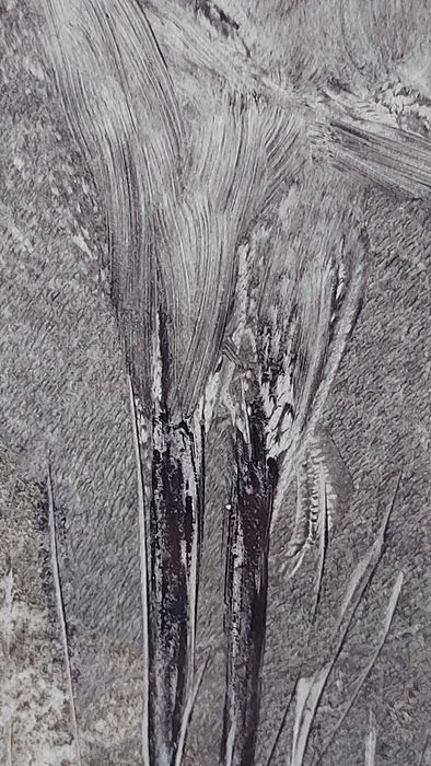 Sholeh Regna – monotyp „Whooping Crane”, 1999