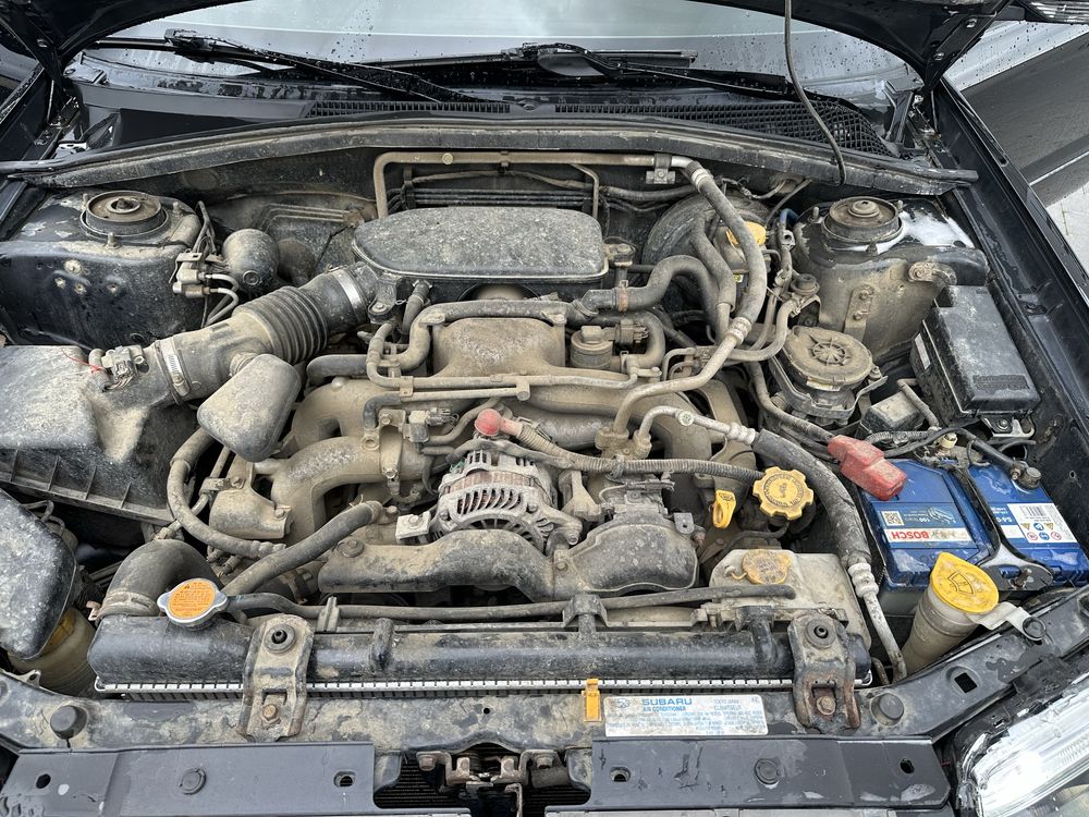 Subaru Forester.