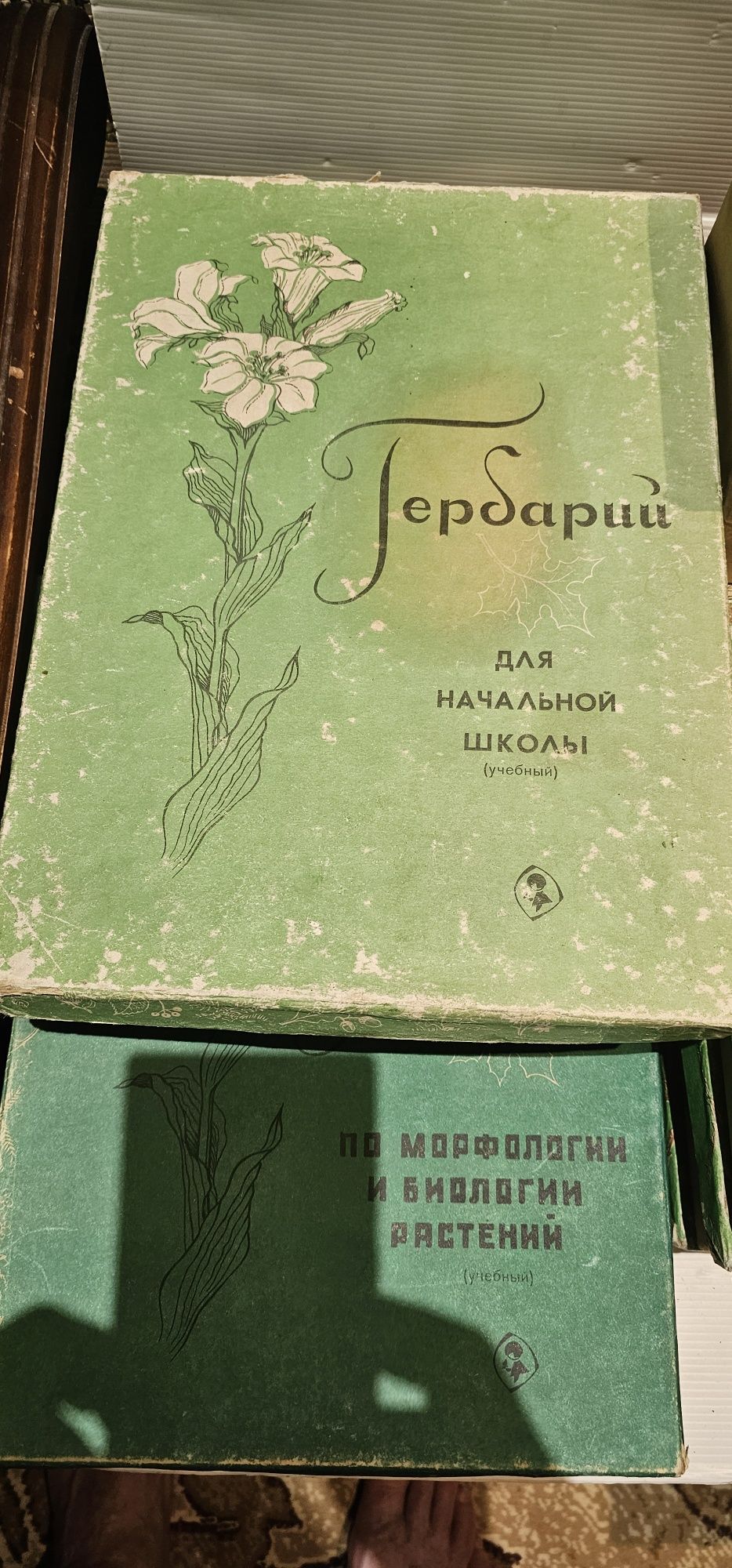 Комплект учебный растения и семена гербарий