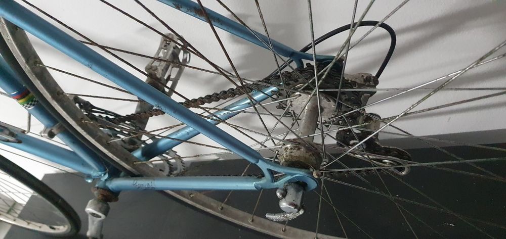 Bicicleta Cenuri vintage