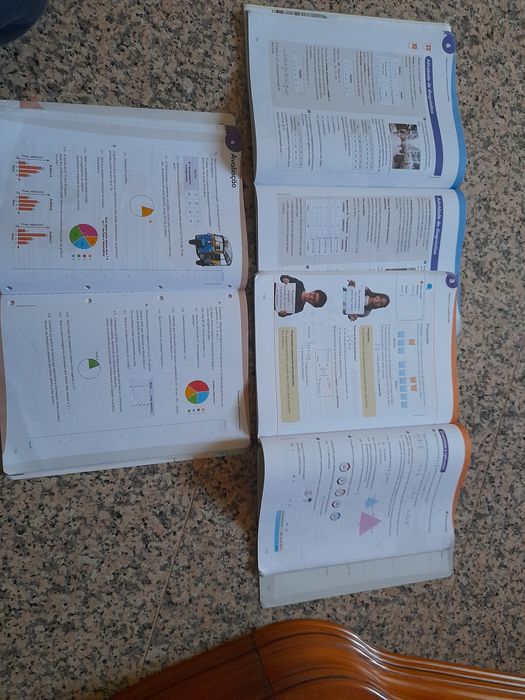 Máximo 6- Matemática 6 ano- Manual