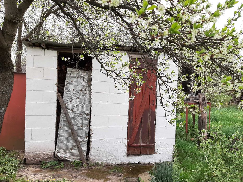 Будинок в с.Михайлівка, Диканьського  р-ну,Полтавської області