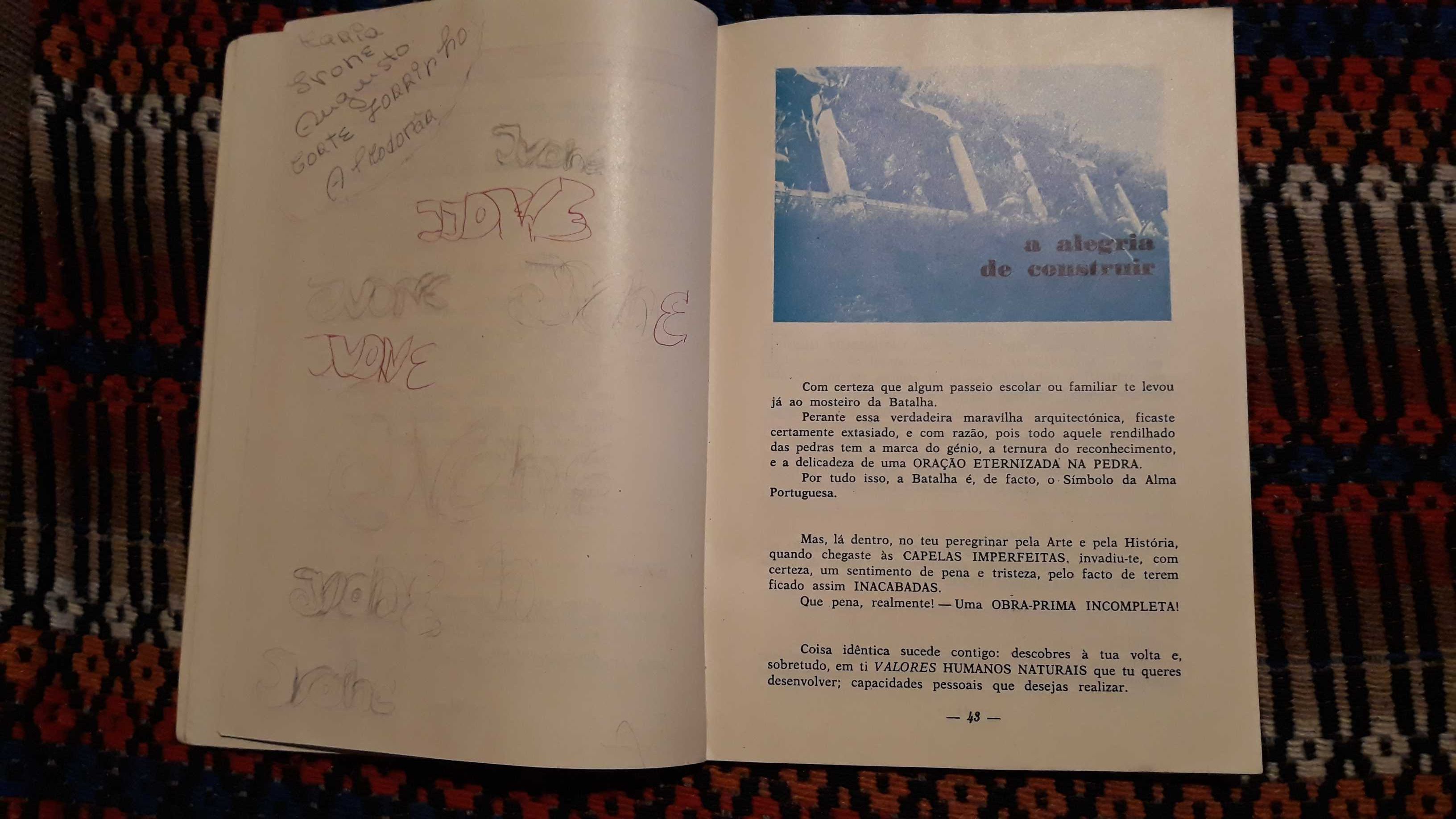 Mário Sardo - Construir a vida - portes incluídos