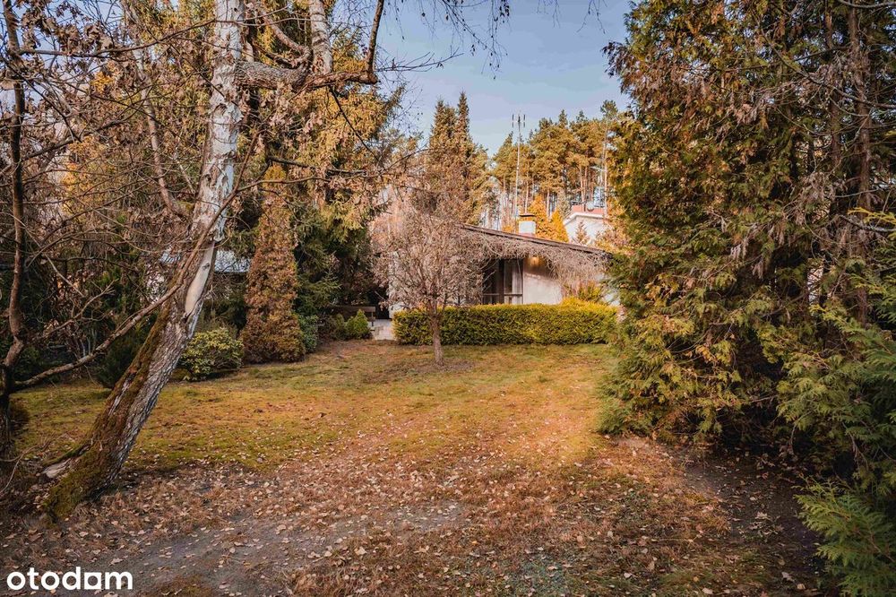 Sławica | Skoki | Jagodowa | Piękna Działka Z Domkiem Nad Jeziorem