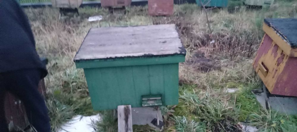 ule warszawskie poszerzane