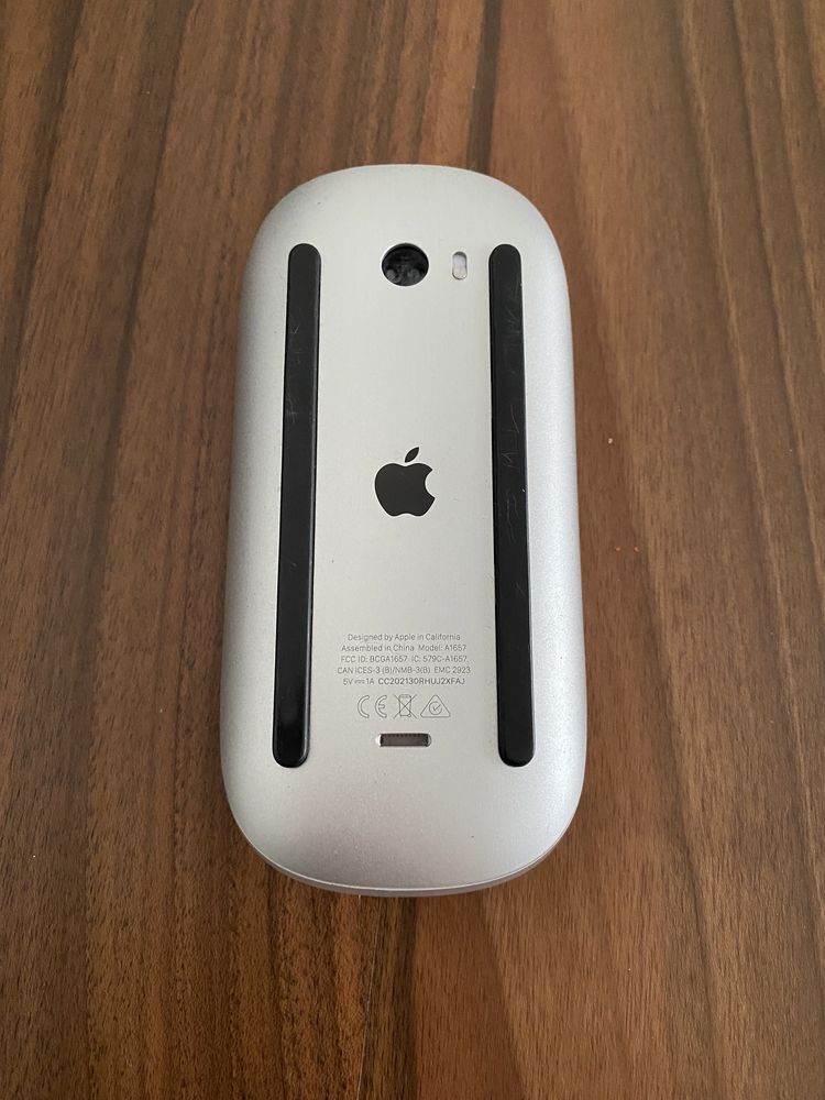 Apple magic mouse