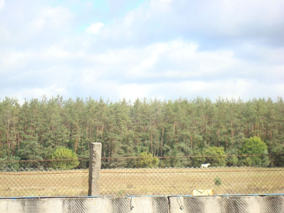 Ділянка біля лісу СТ Прилісся 5.5 соток