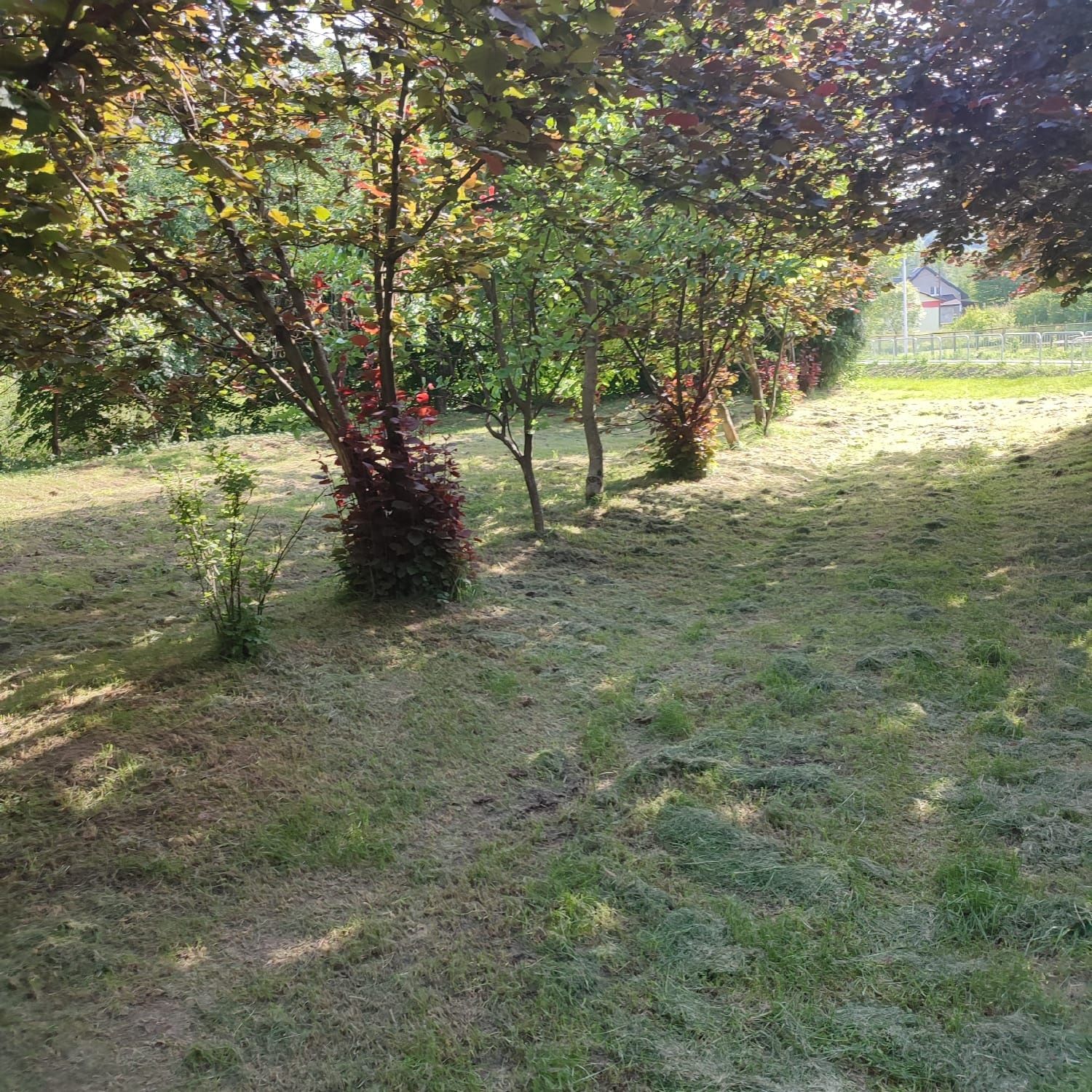 Sprzedam dom + działka 32ar BEZ POŚREDNIKÓW