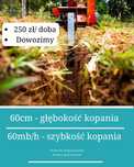 Koparka Łańcuchowa Dowozimy WYNAJEM 24h/7d  Bruzdownica Minikoparka