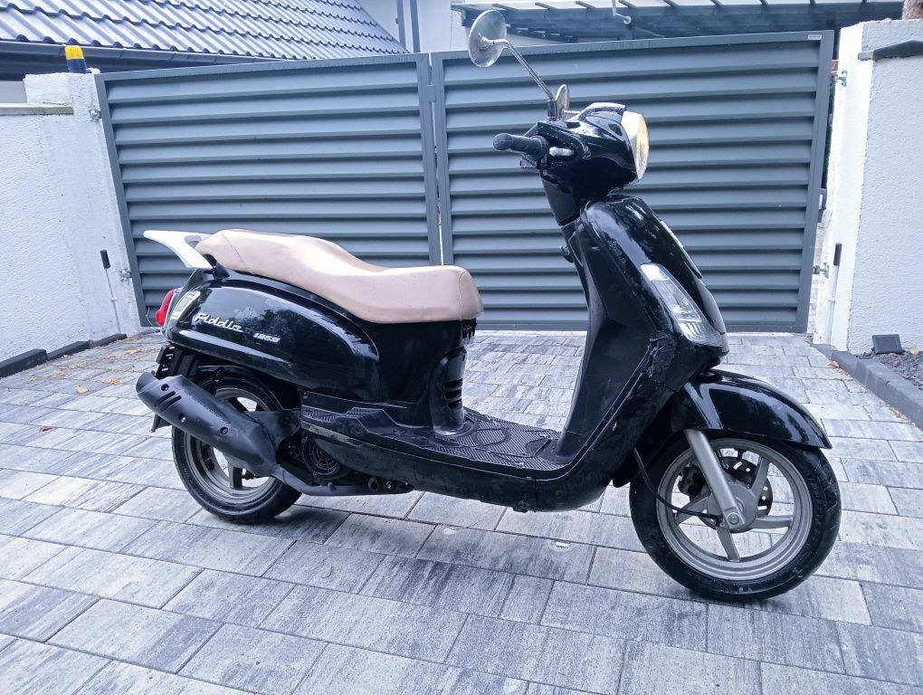 Sym fiddle 125 cm