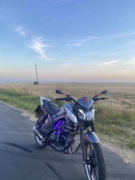 Musstang fortuna 200