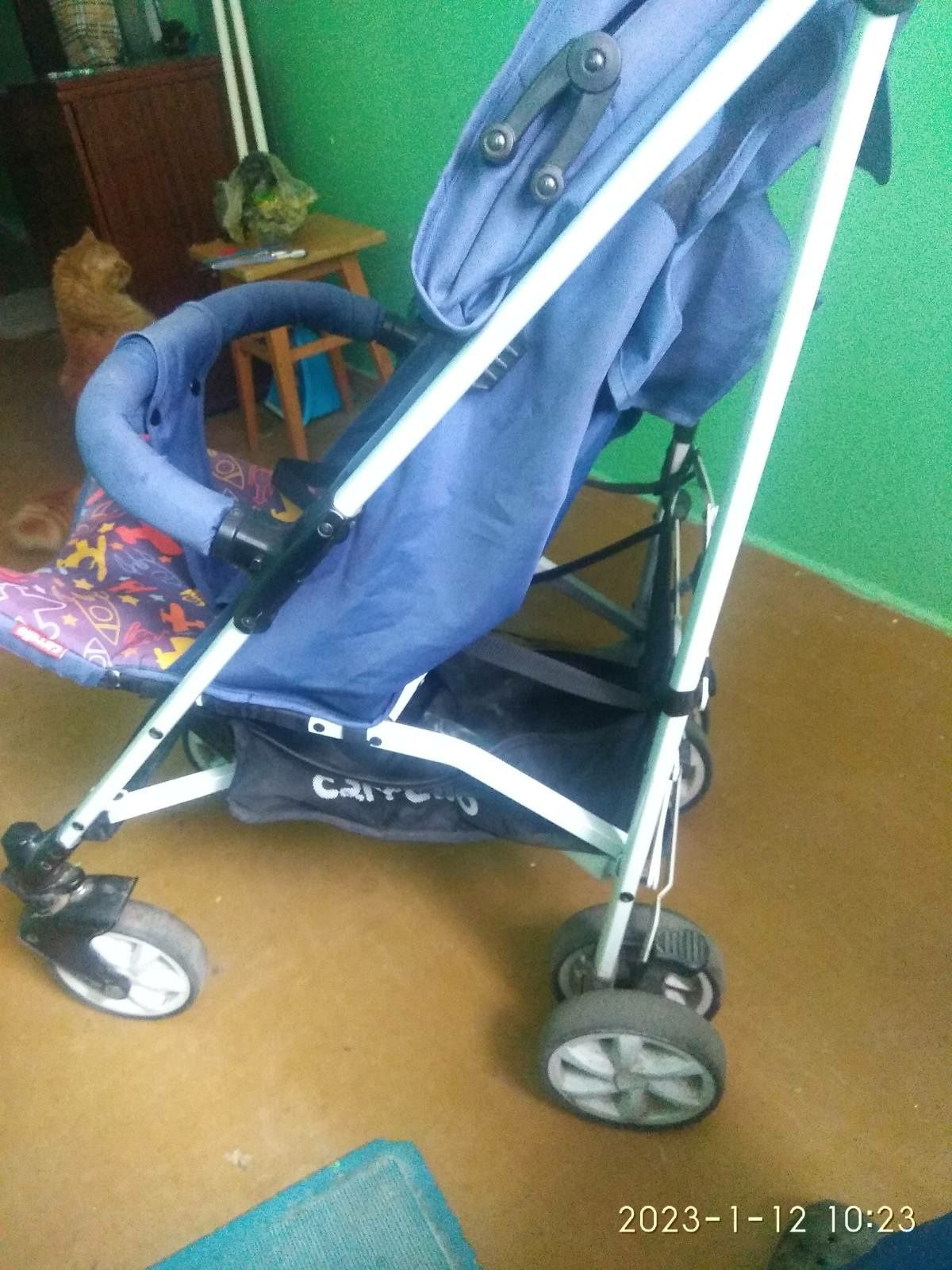 Детская коляска Carello