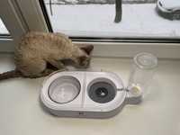 Подвійна миска для кішок і собак Els Pet з автоматичною поїлкою