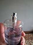 Yves saint laurent l homme ultime