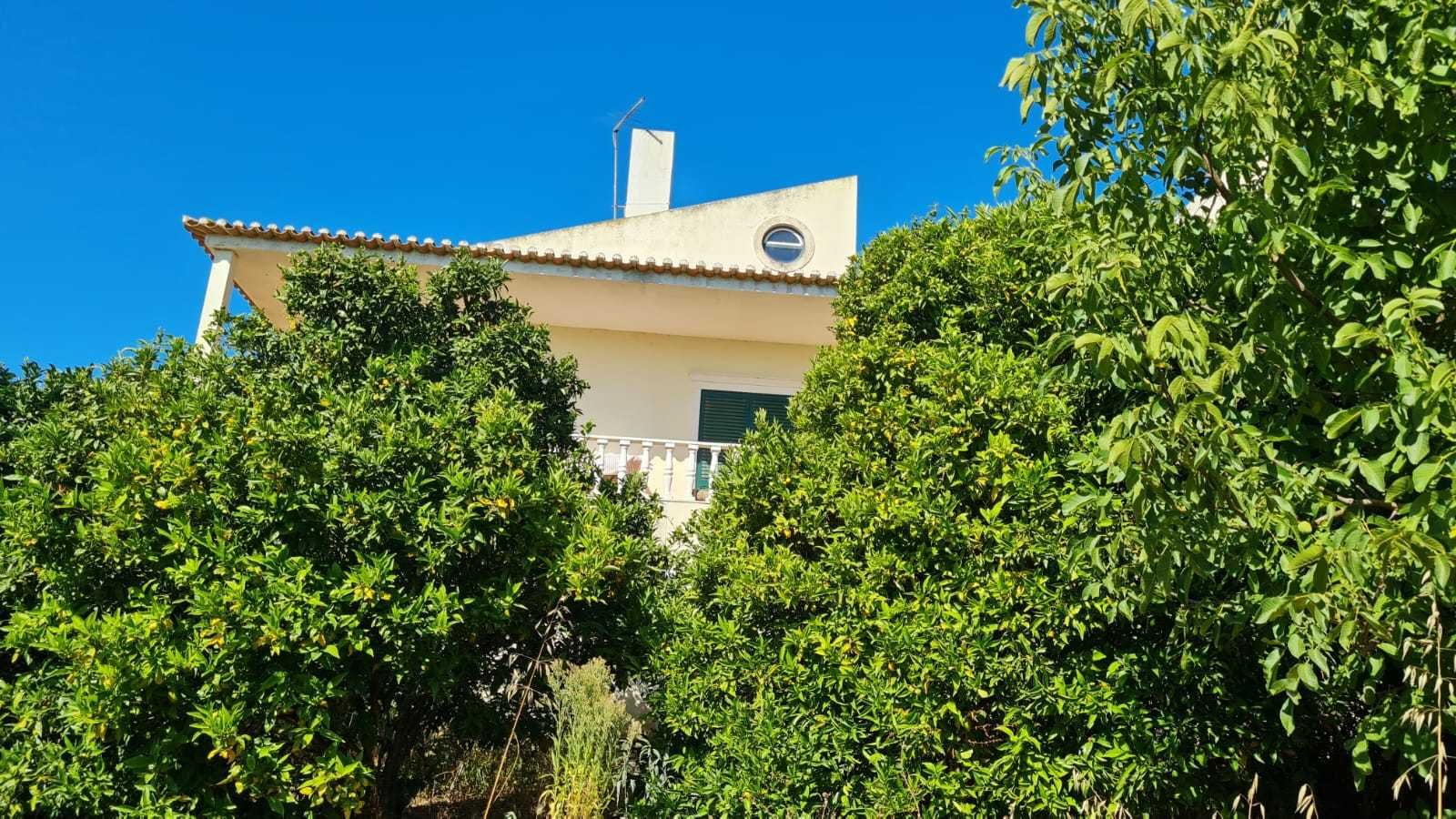 Fantástica Quinta em Arruda dos Vinhos –  Habitação e Equitação