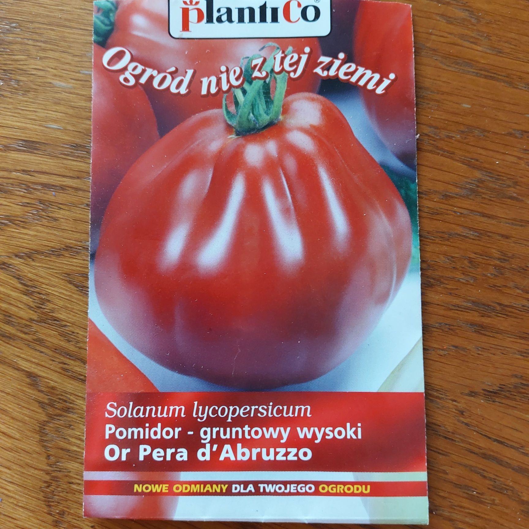 Sadzonki pomidorów
