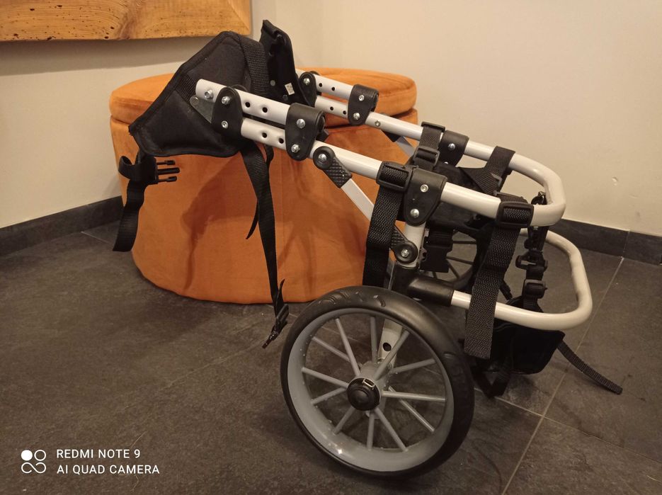 Wózek rehabilitacyjno-inwalidzki dla psa DOGHELPER R/2 r.M
