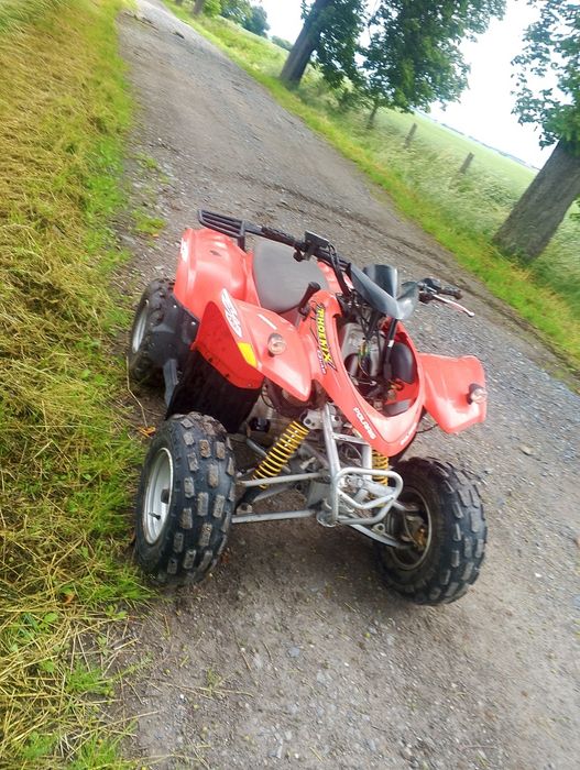 Polaris phoenix 200