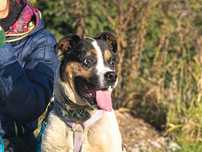 Adwent - marzy o rodzinie na święta i na zawsze ADOPCJA