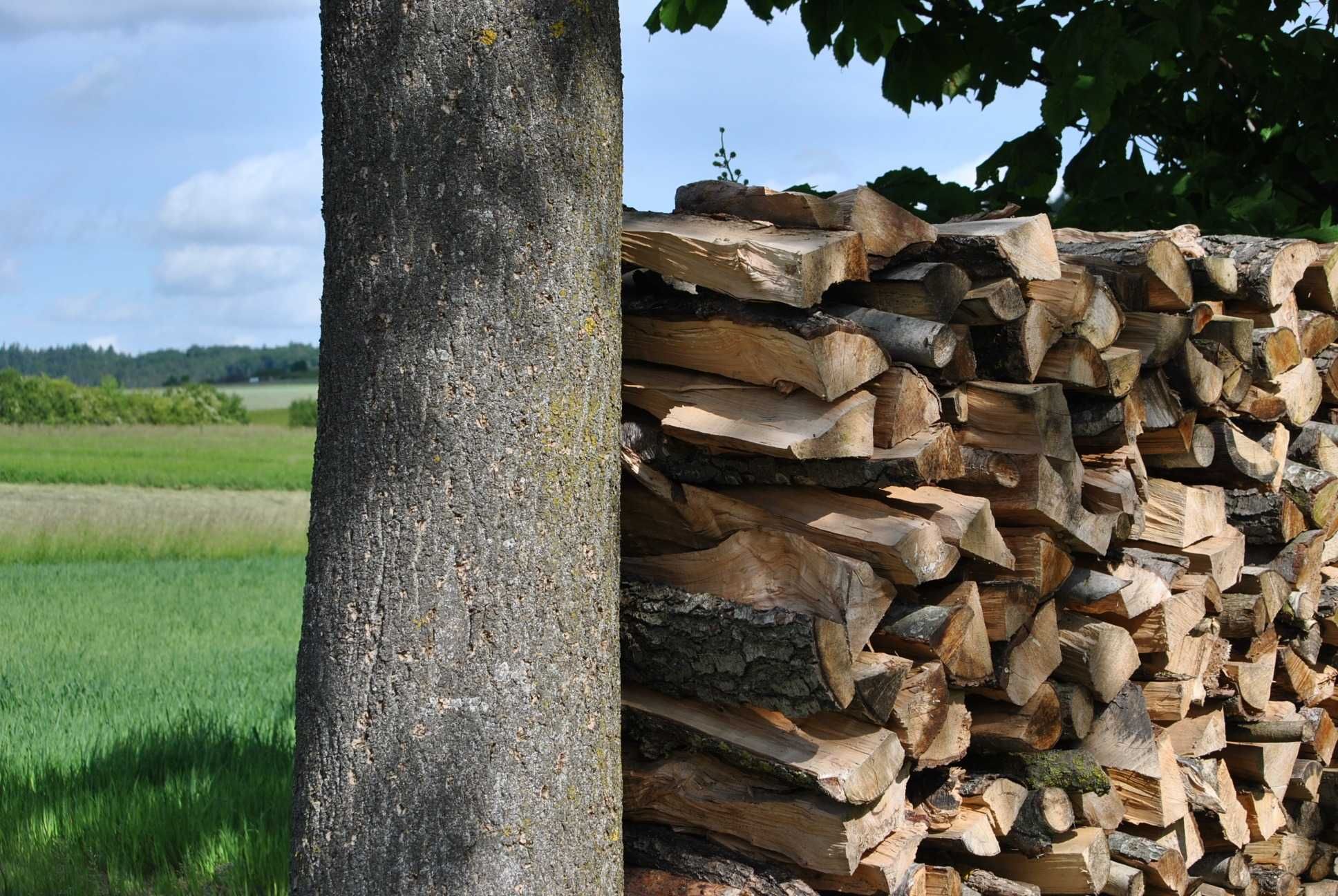 Качественные дрова твердых пород-идеальное топливо для вашего комфорта