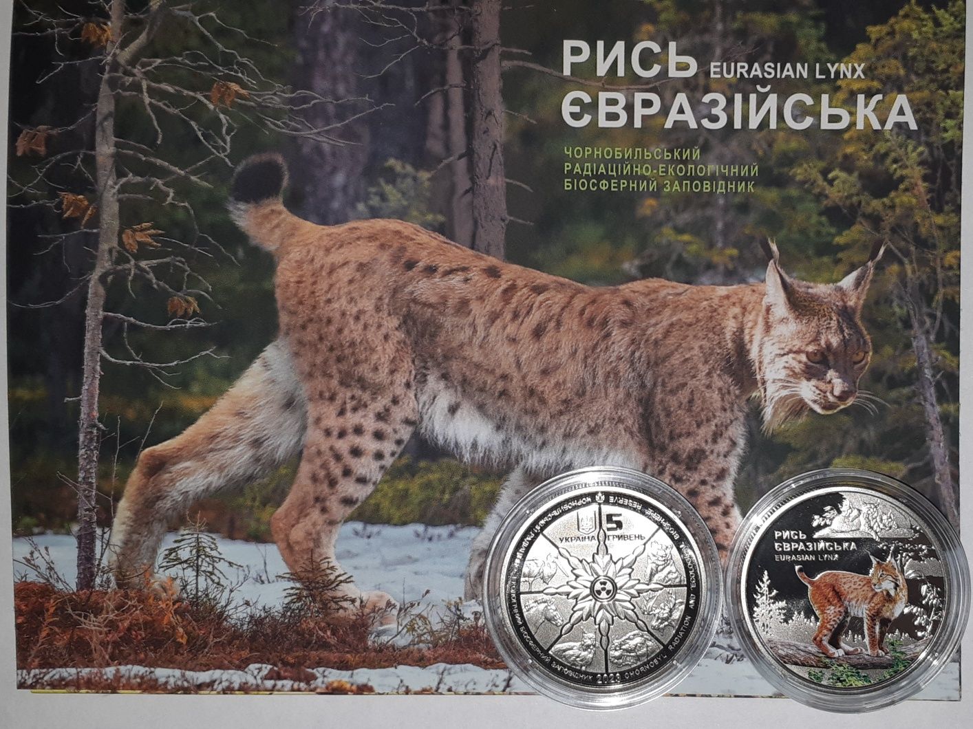 Борщ. Захисниці. Хвильовий. Шпол. Воєна розвідка.