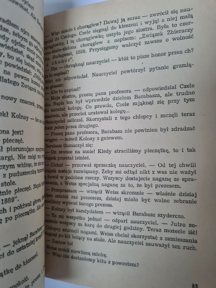 Chłopcy z Placu Broni - Ferenc Molnar