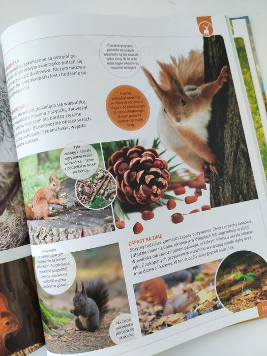 Młody Obserwator Przyrody Encyklopedia dla całej rodziny