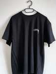 Stussy "Arachnid Pigment"
