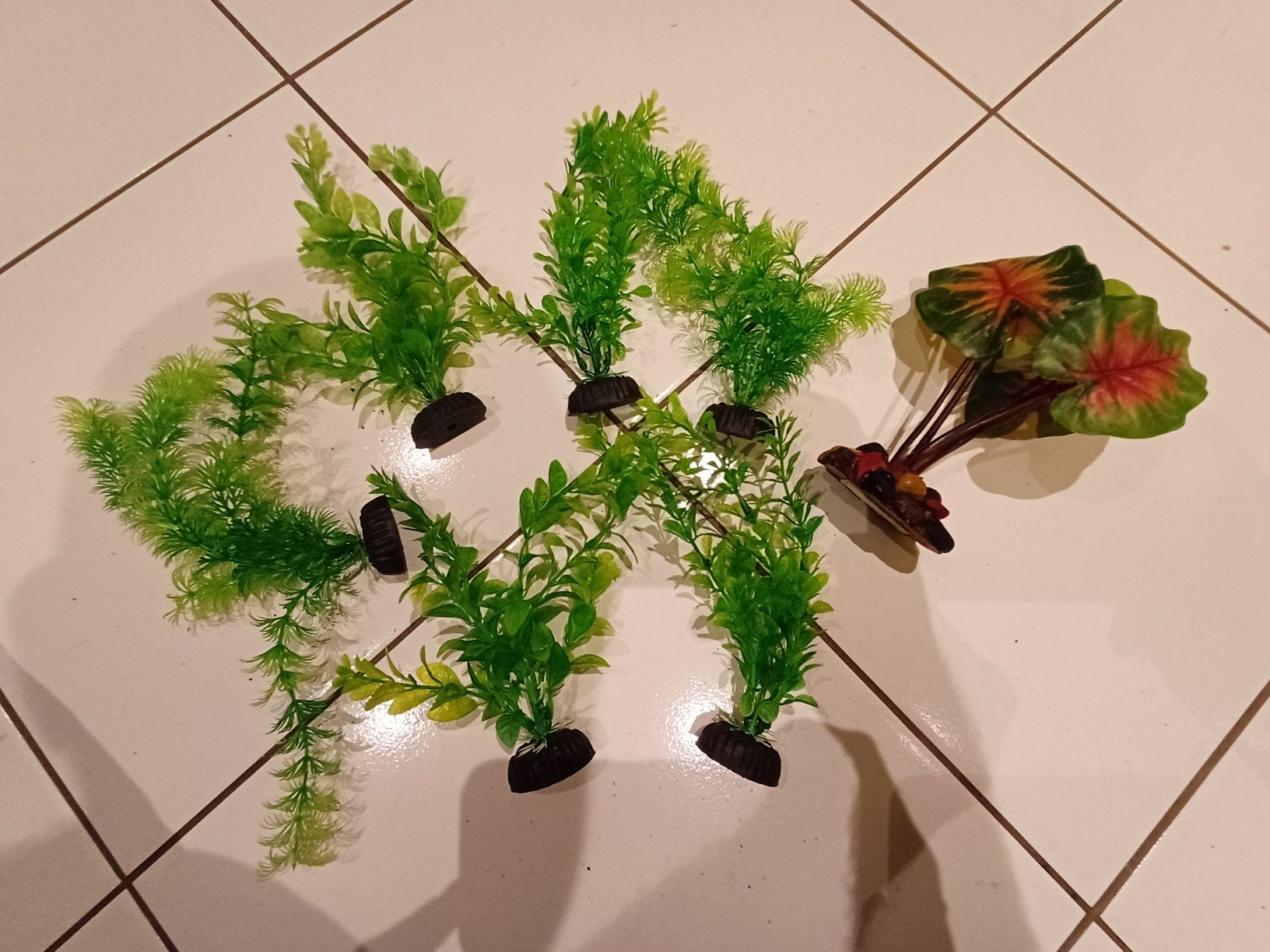 Sztuczne rośliny di terrarium