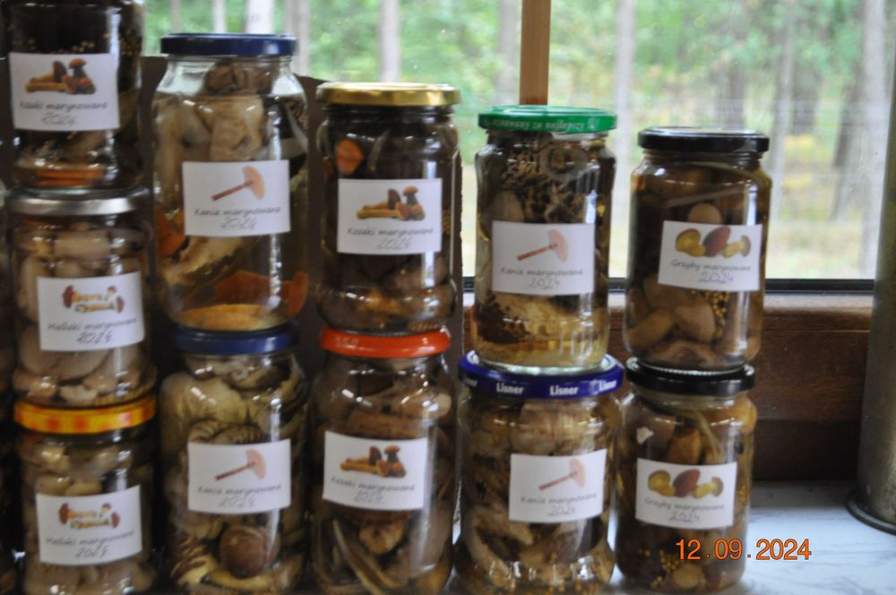 Grzyby marynowane maślaki kozaki podgrzybki rydze kanie ZBIÓR 2025