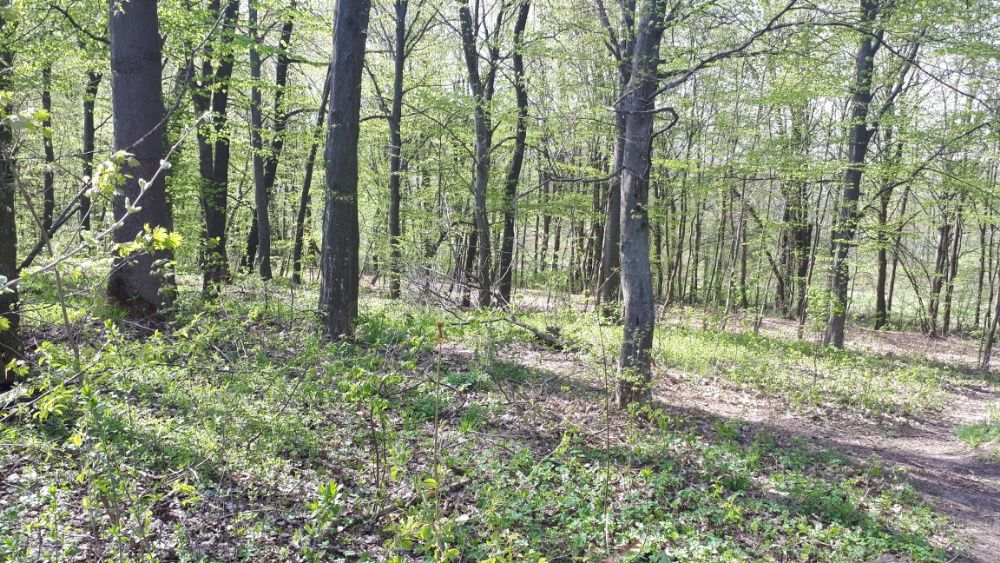 Земельна ділянка 13.5   5хв до  ТРЦ Подоляни