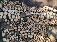 Drewno, rozpałka, suche, pocięte - tuja i cis ok. 1,5 m3