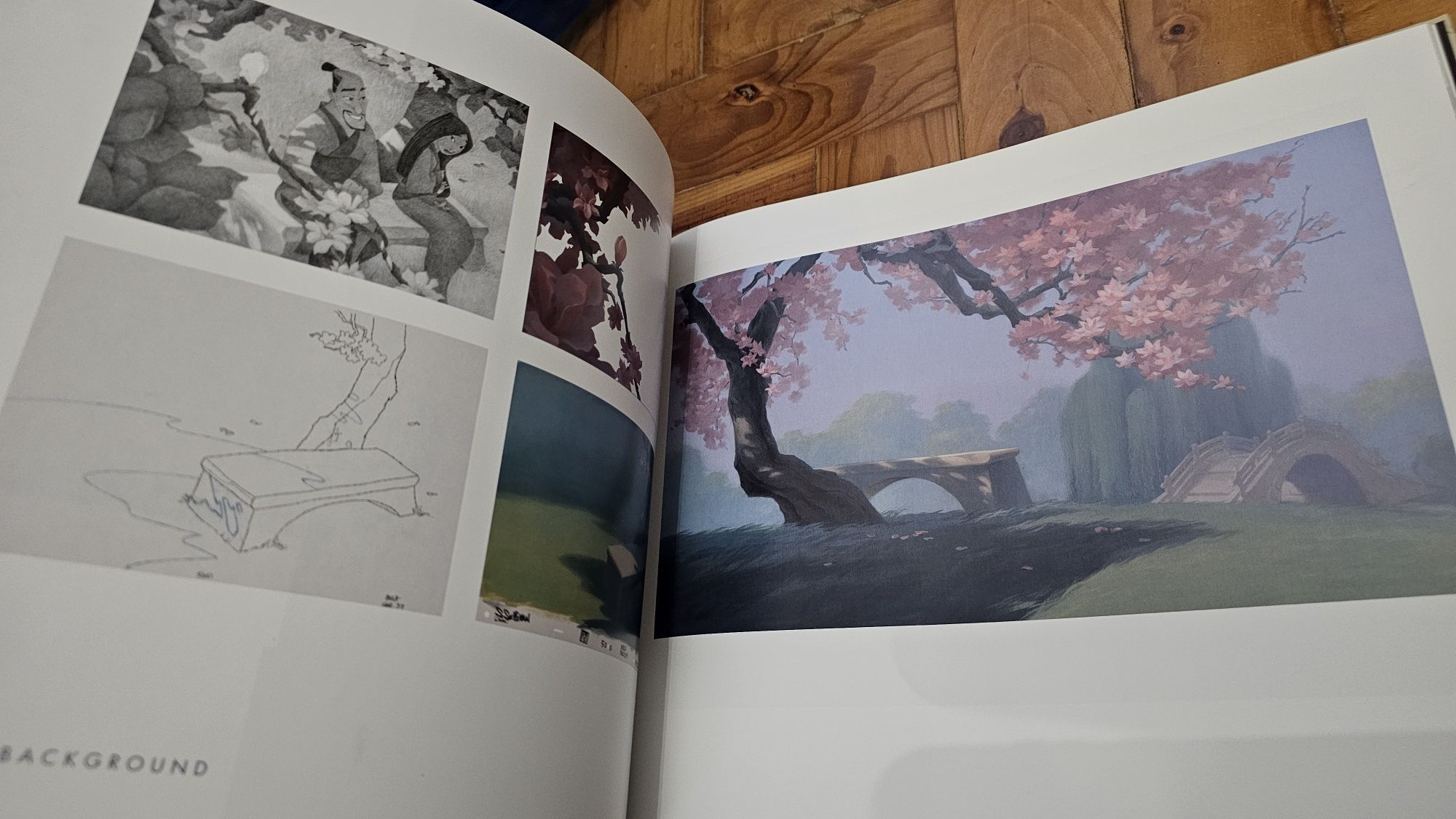 Livro Layout & Background Disney
