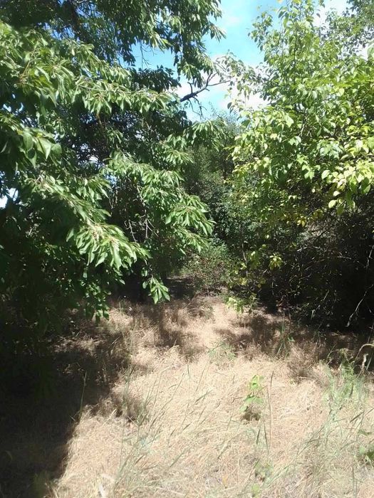 Продам  2-х поверхову дачу в СТ "Маяк", с. Себіно