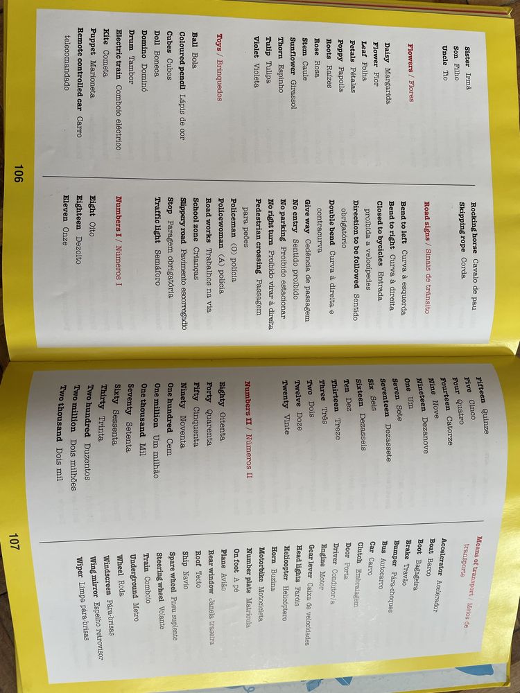 Dicionário Visual Português-Inglês