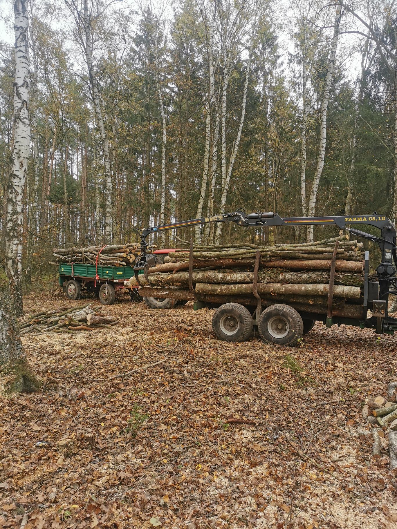 Sprzedam drewno opałowe 8osiem8 5trzy4 291