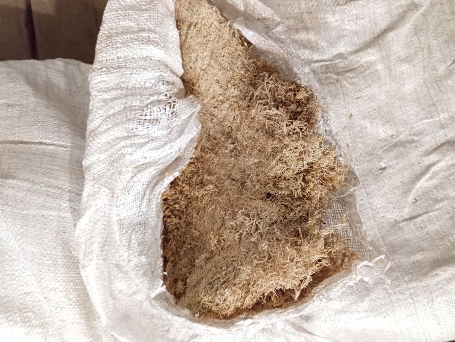 Мох сфагнум. Мішок 50л.