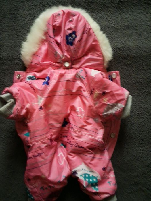 Одежда для маленьких собак.