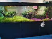 Akwarium 1600l...