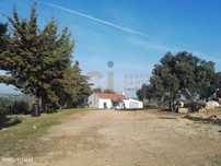 Oportunidade Imperdível: Herdade Quinta de 100 Hectares em Vila Ver...