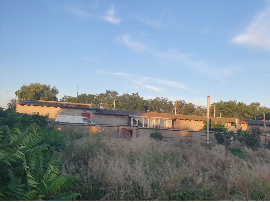 Срочно.Продам дом Одесская обл.240м.кв+агробизнес