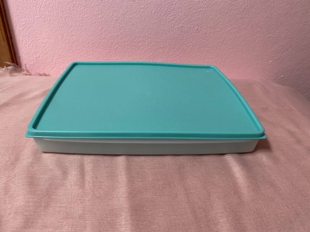 Tupperware para congelaçao rasa 24 x 29 (1.25 lt)