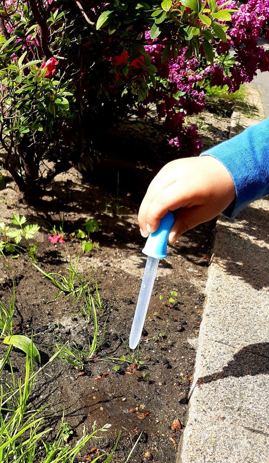 Przybory terapeutyczno plastyczne dla dzieci Edukacja Montessorii