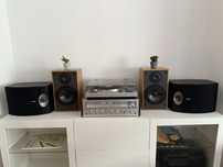 Vendo colunas Bose 301 Serie V estado imaculado